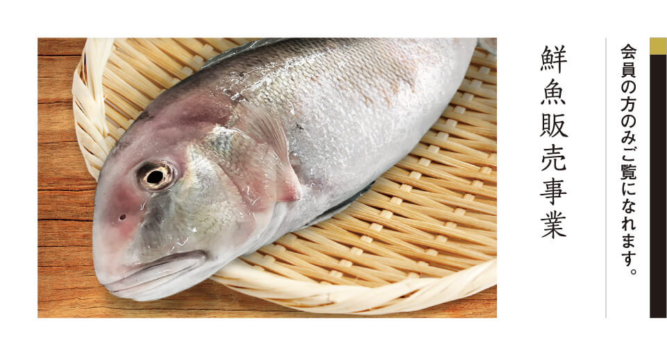 鮮魚販売事業